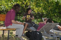 camp11_320