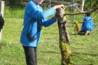 camp13_241