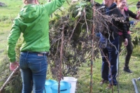 camp13_266